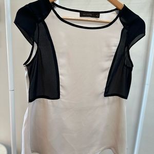 Express Sheer Black/Tan blouse
